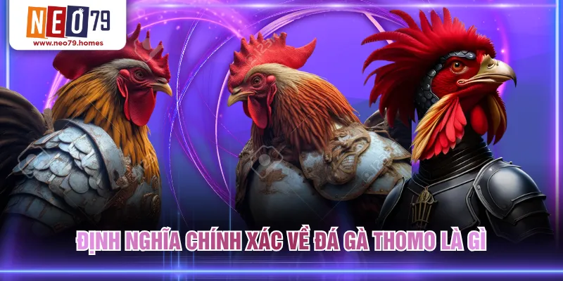 Định nghĩa chính xác về đá gà Thomo là gì