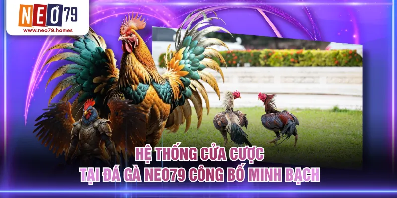 Hệ thống cửa cược tại Đá Gà NEO79 công bố minh bạch