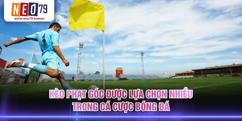 Kèo phạt góc được lựa chọn nhiều trong cá cược bóng đá