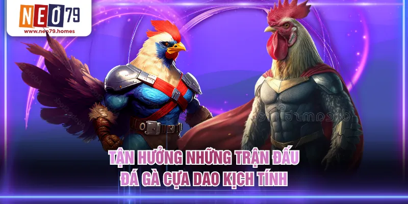 Tận hưởng những trận đấu đá gà cựa dao kịch tính